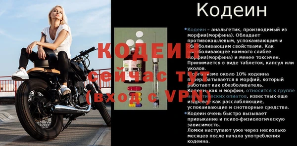 дживик Медвежьегорск